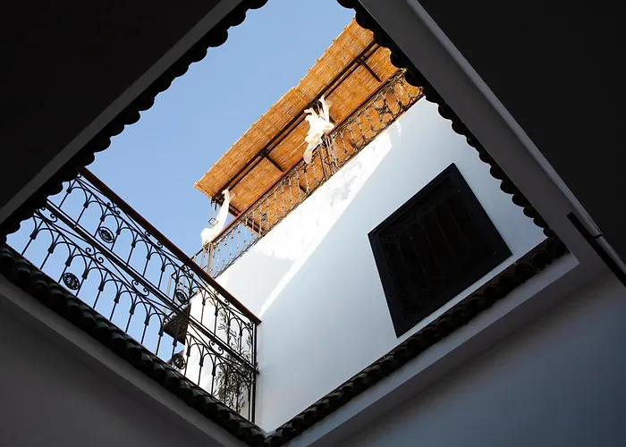 Cosy Riad